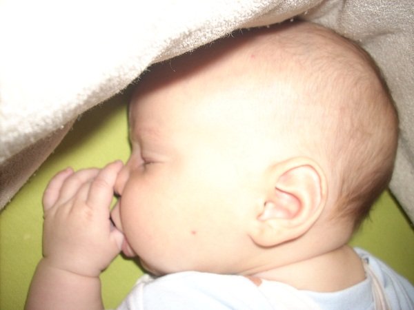 DSCN1580.JPG