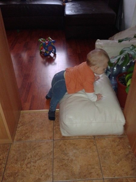 20121202_124531.jpg